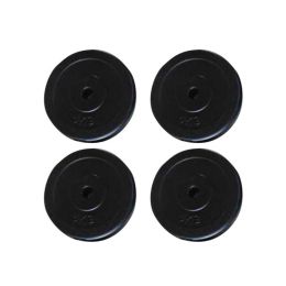 Weight Plates 4 pcs 44.1 lbs