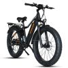 Dynalion Electric Bike Adults 26&quot; Fat Wide Tire 48V16Ah Li-ion Battery 750W Motor Front and Rear Disc Brake Shimano 7-Speed Derailleur Mountain E