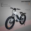 26&quot; 750W Electric Bike Fat Tire P7 48V 13AH Removable Lithium Battery for Adults Girls with Detachable Rear Rack Fender(White)